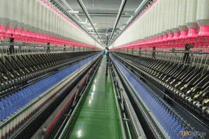 Saurer Zinser Ring 71