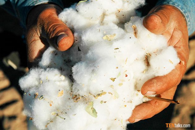 Cotton Cluster Villages: A new strategy of the Pakistani government to ...