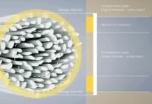 YarnMaster® PRISMA empowers precision in yarn compactness monitoring