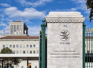 WTO warns Middle East war is causing the worst trade disruption in 80 years