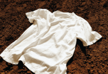 Cotton Compostability: Cotton helps make circular fashion a reality through its compostability