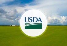 USDA’s cotton plan targets farm losses, domestic mills and synthetic-fiber competition