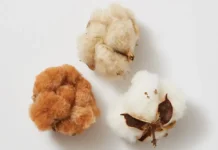 UGA and Clemson Target Naturally Colored Cotton to Cut Dyeing Impacts