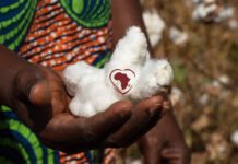 Cotton made in Africa gains top sustainability rating as verified cotton demand tightens