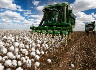 Brazil sets cotton export record at 3.37 million tonnes as Asian mills deepen sourcing